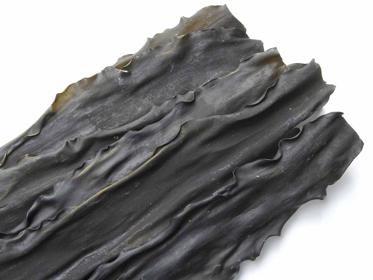 Alga giapponese Kombu o Kelp. Cos'è e uso in cucina