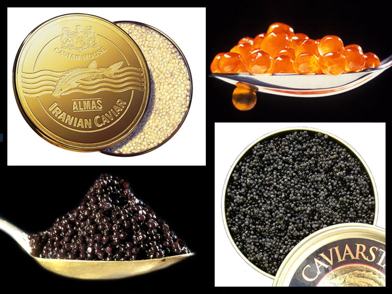 Caviale Scheda di approfondimento Alimentipedia enciclopedia degli