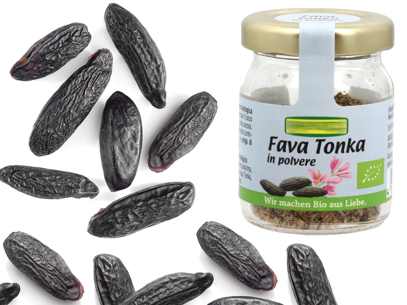 Fave Tonka: cosa sono e come usarle in cucina - FruttaWeb