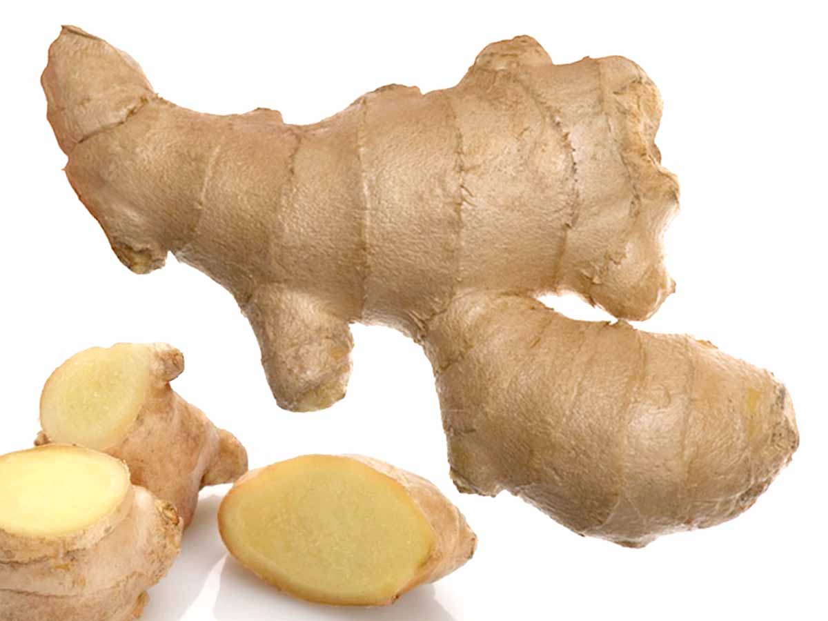 Zenzero O Ginger Usi Proprieta E Benefici Alimentipedia It