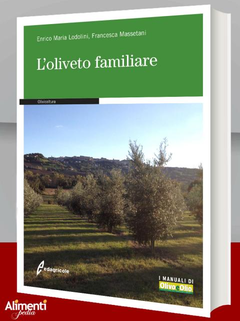 L'oliveto familiare