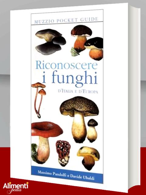 Riconoscere i funghi d'Italia e d'Europa 