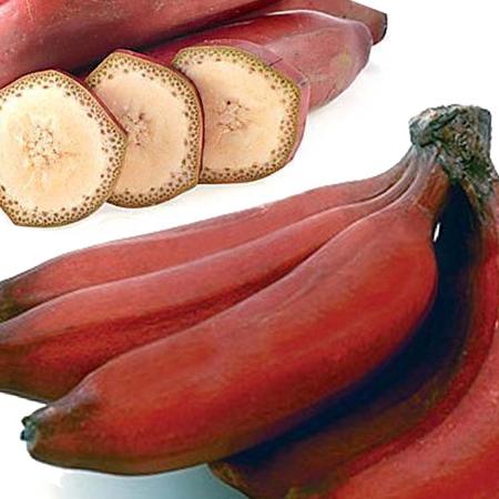 Banana rossa