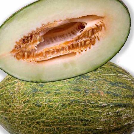 Melone Piel de sapo