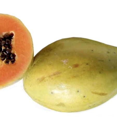 Papaya frutto