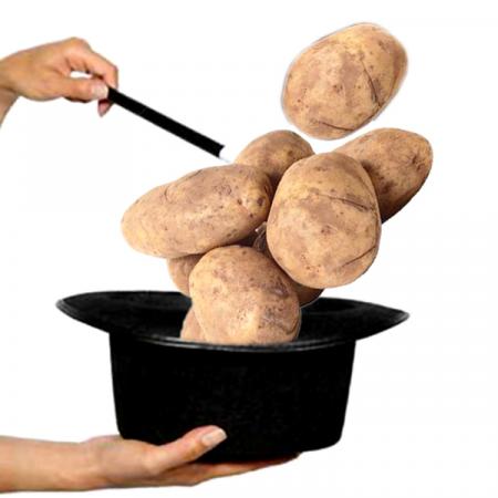 Trucchi e consigli sulle patate