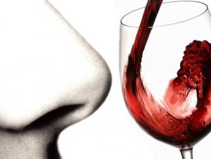 Guida alla degustazione del vino: esame olfattivo