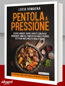 Libro: Pentola a pressione di L. Romagna