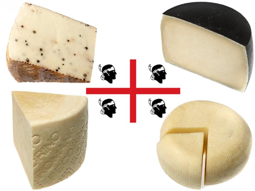 Sardegna: i formaggi