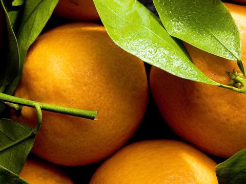 Alla scoperta delle arance di Sicilia: caratteristiche, proprietà e benefici