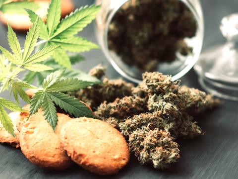 Cannabis: in Gazzetta Ufficiale i limiti ammessi di THC negli alimenti