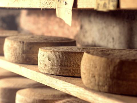 Quali sono i formaggi del Trentino: un viaggio tra sapere e sapore