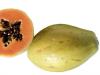 Papaya frutto