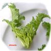 Cime di rapa