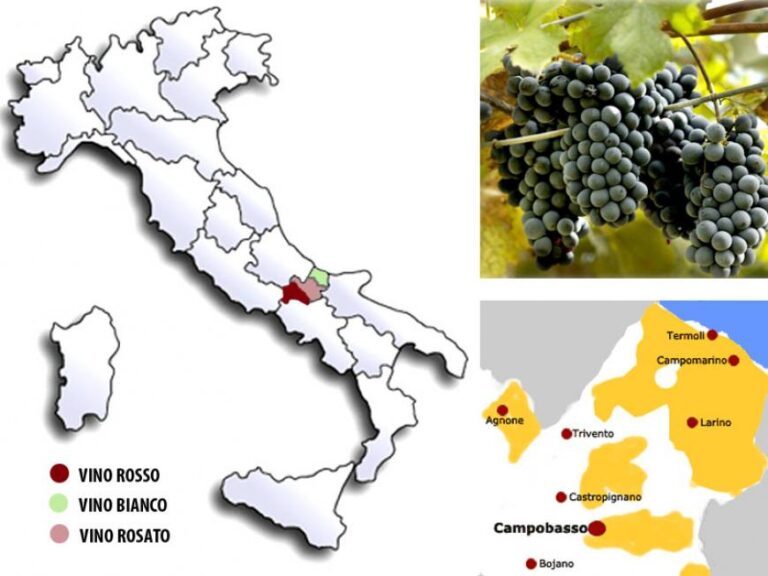 Biferno - Vino del Molise | Alimentipedia.it