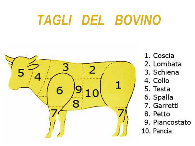 Tagli del bovino