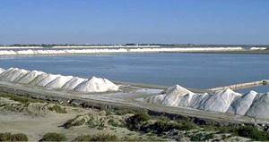 Saline della Camargue