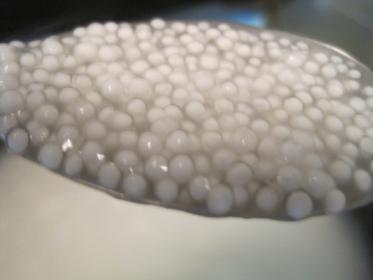 Perle di tapioca