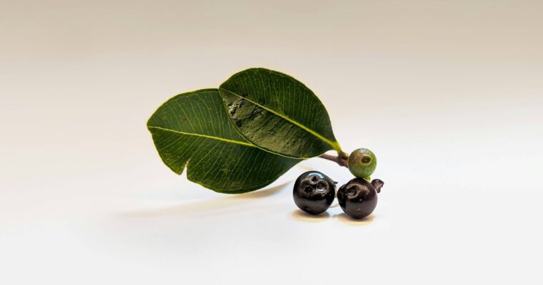 Açaí