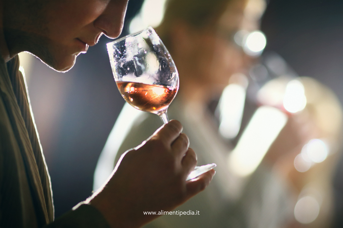 Come degustare il vino: i tre passaggi fondamentali (vista, olfatto, gusto)