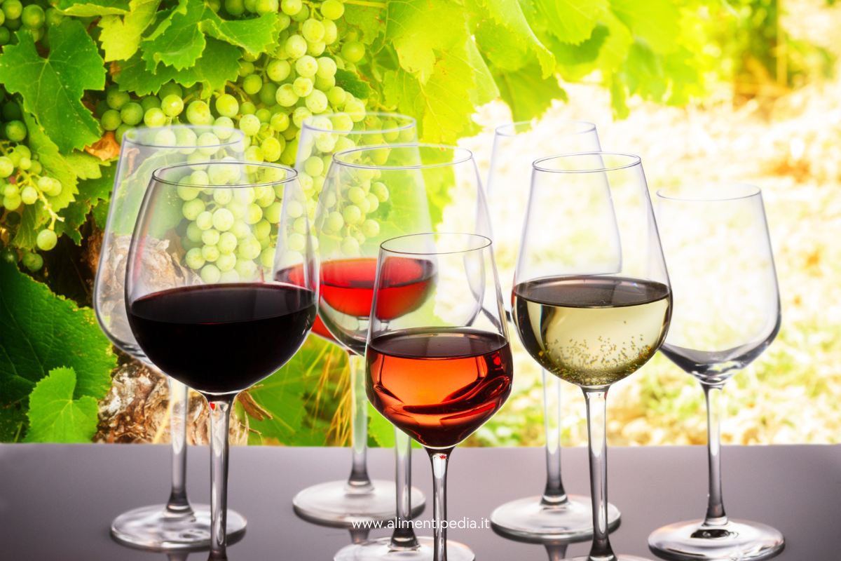 Il bicchiere giusto per ogni vino. Guida pratica alla scelta