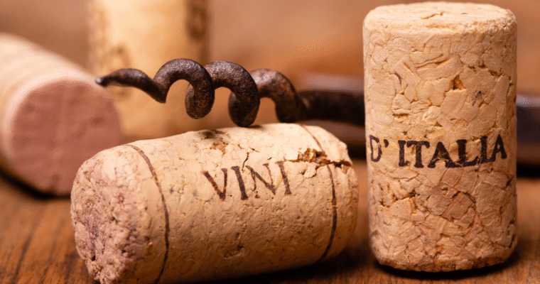 Le regioni vinicole italiane, breve viaggio tra le migliori denominazioni