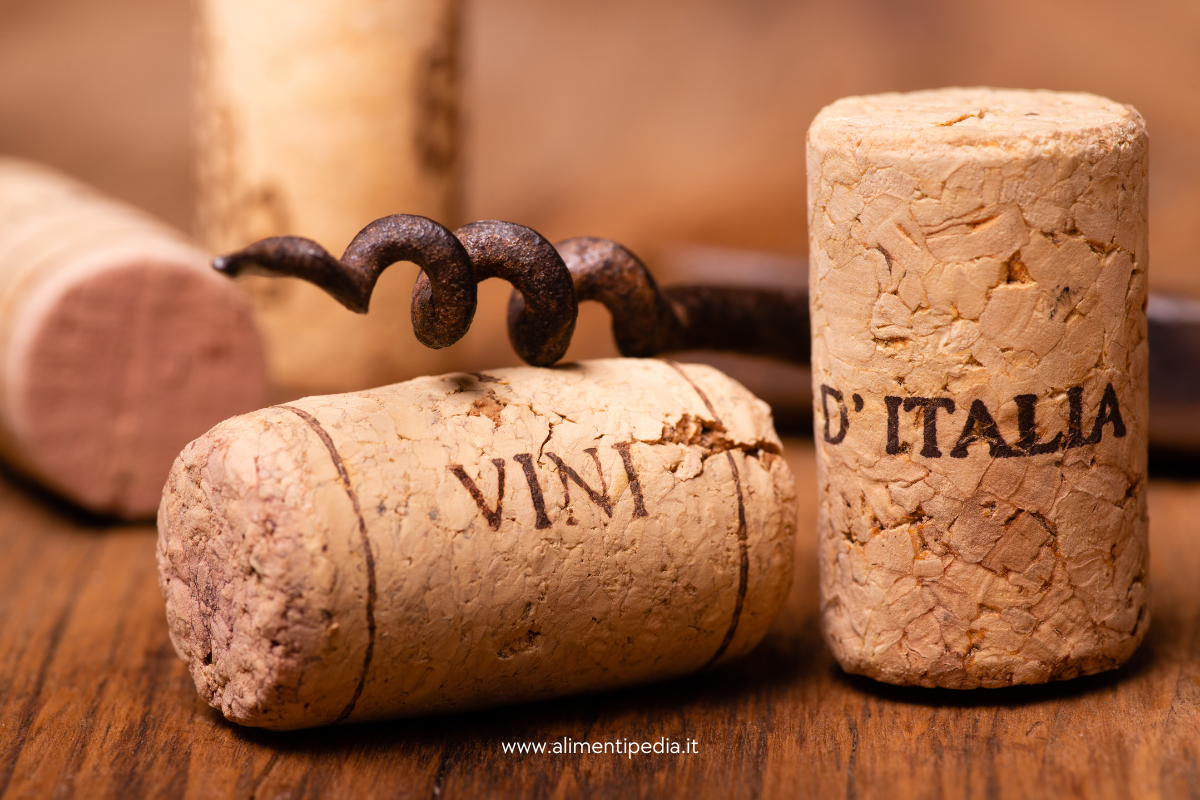 Le regioni vinicole italiane, breve viaggio tra le migliori denominazioni