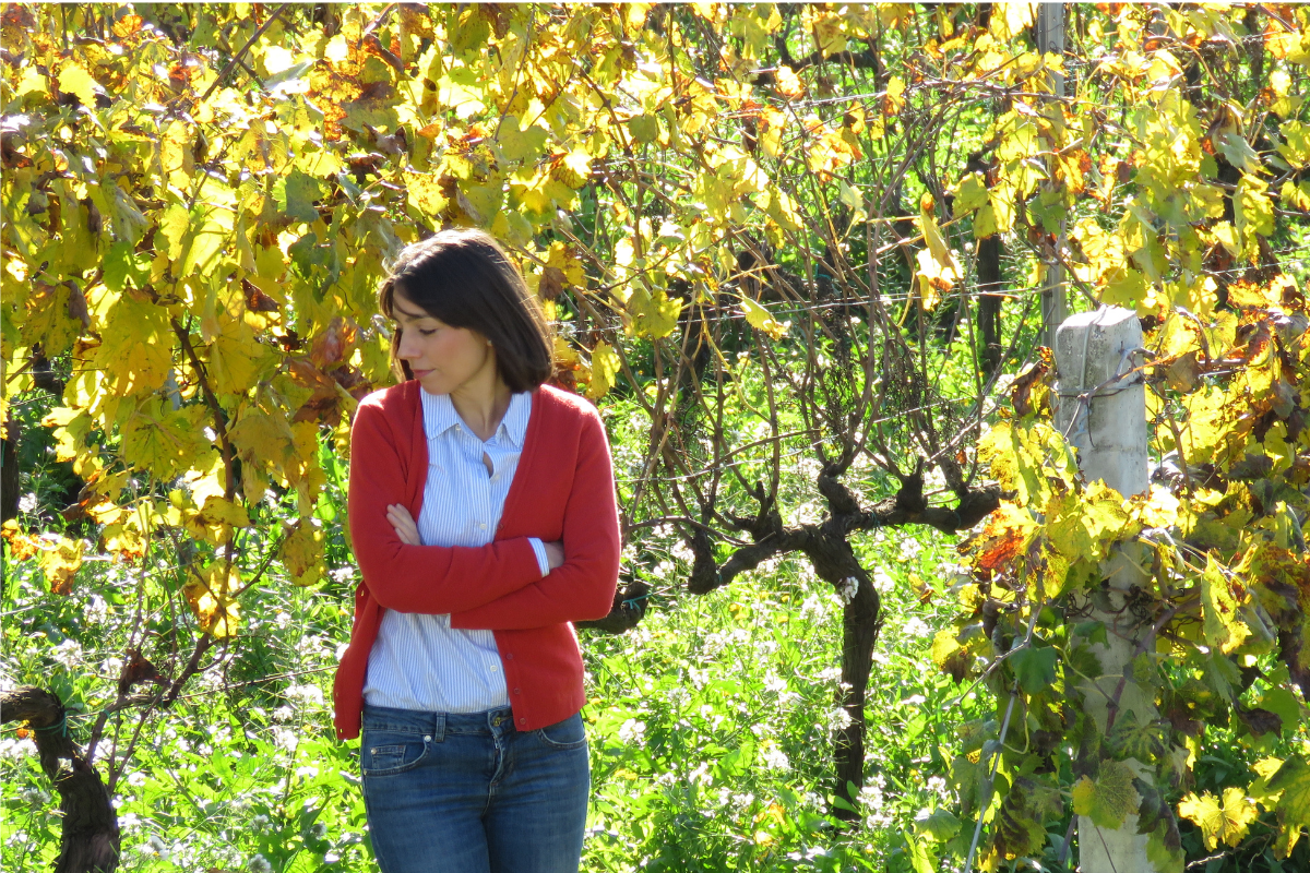 Il vino si fa in vigna tra passione, tradizione e sostenibilità. Parola di Silvia Brannetti