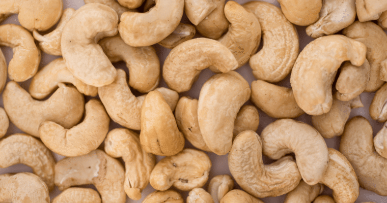 Anacardi