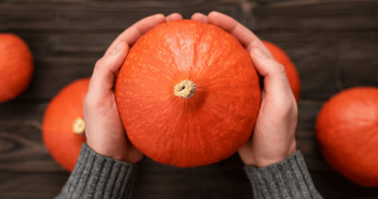 5 ricette con la zucca Hokkaido