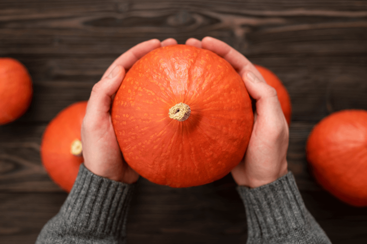 5 ricette con la zucca Hokkaido