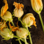 Fiori di zucca