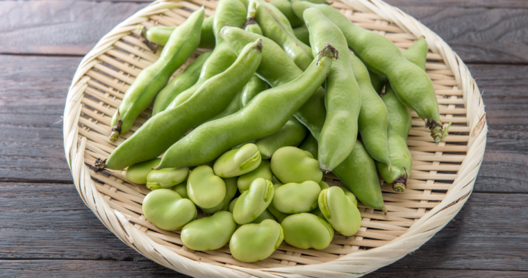 Come cucinare le fave fresche