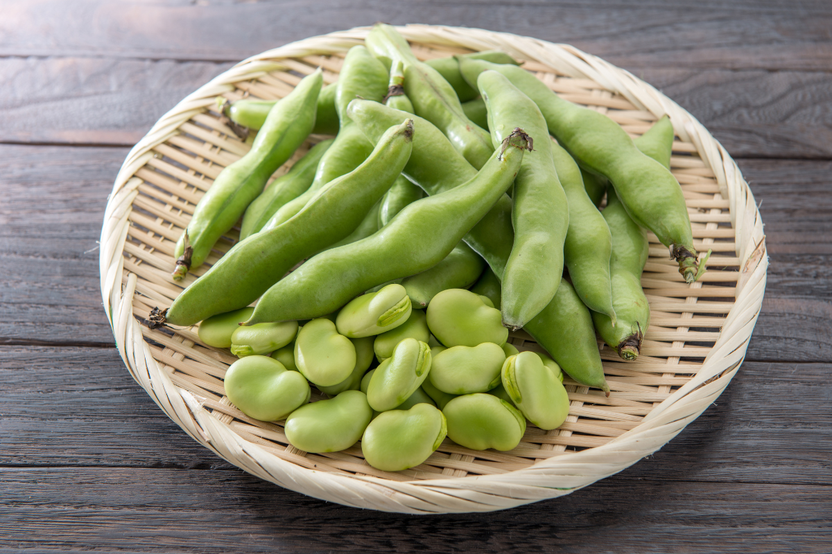 Come cucinare le fave fresche