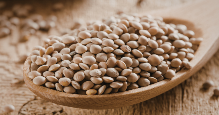 Come cucinare le lenticchie secche