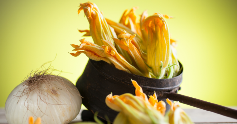 7 ricette con i fiori di zucca: idee semplici e gustose per portarli in tavola