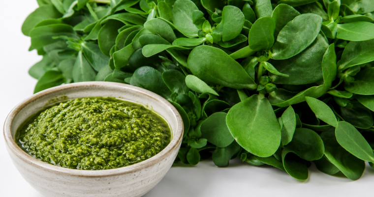 Pesto di portulaca